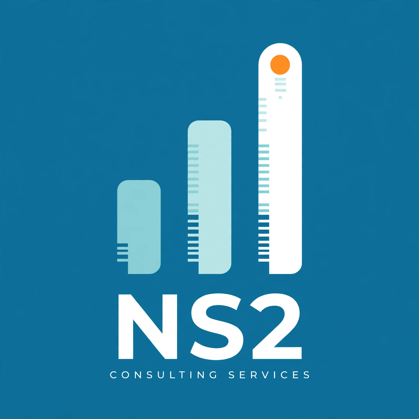 NS2 Consulting Services